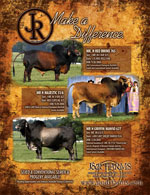 2011 Calendar